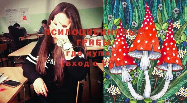 PSILOCYBIN Остров