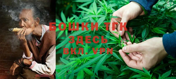 гидра Осинники