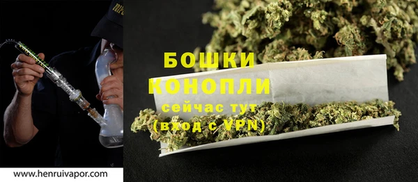 PSILOCYBIN Остров