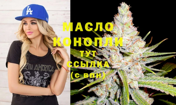 гидра Осинники