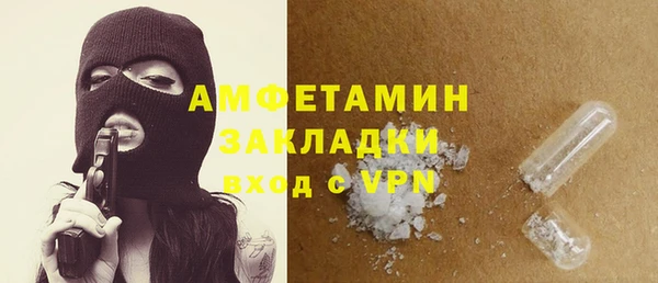 индика Гатчина