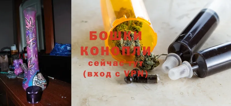 Каннабис SATIVA & INDICA  Куровское 